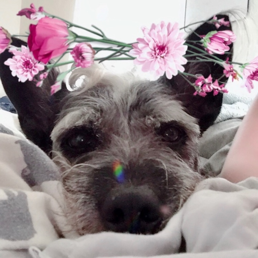 Meet your Posher, Julia